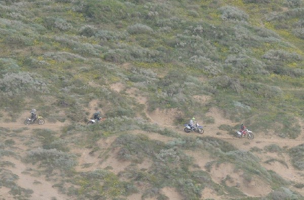 האופנוענים בזמן המרדף | צילום: אסף קפלן רשות הטבע והגנים אופנועני שטח נתפסו לאחר שרכבו בחוף השרון בניגוד לחוק