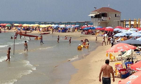 חוף סירונית | תמונה: עמותת צלול הסוף לזיהום המתמשך בחוף פולג?