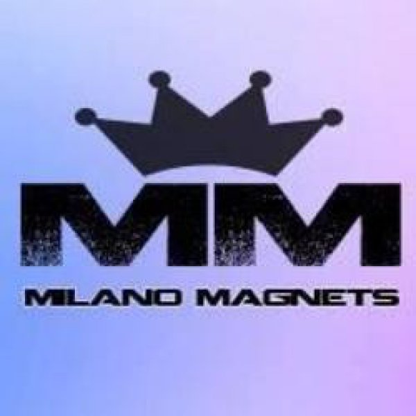 milano magnets מגנטים וצילום