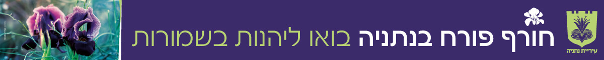 עיריית נתניה