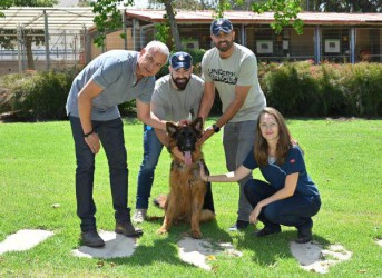 כלב שנדקר בזירת רצח בנתניה, מצא בית חם