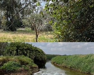 אתר להנצחת הנרצחים והנופלים מעמק חפר